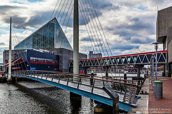 The National Aquarium, Baltimore