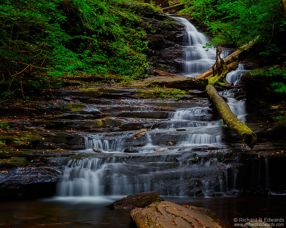 Ricketts Glen Waterfall #4