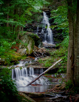 Ricketts Glen Waterfall #3