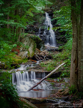 Ricketts Glen Waterfall #3