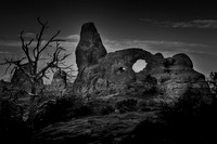 Turret Arch with Tree