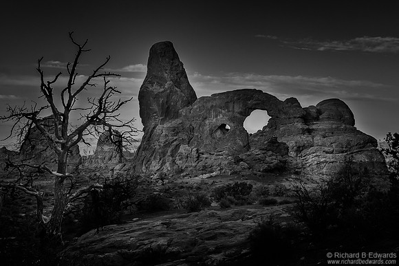 Turret Arch with Tree