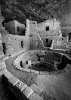 Spruce Tree House #1
