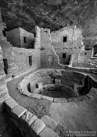 Spruce Tree House #1