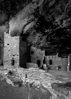 Spruce Tree House #2