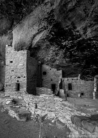 Spruce Tree House #2