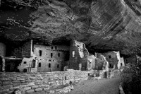Spruce Tree House #3