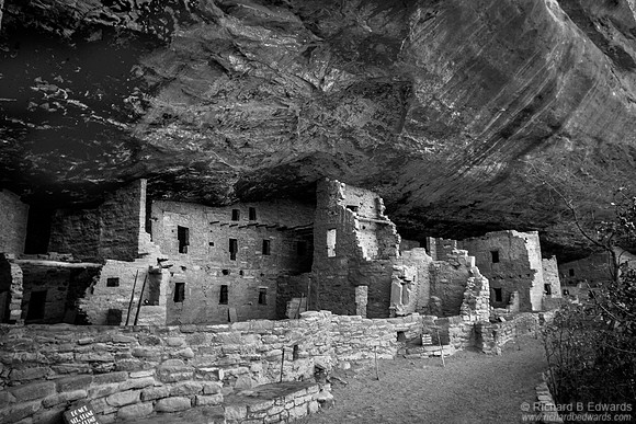 Spruce Tree House #3
