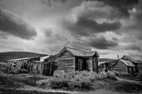Bodie #9