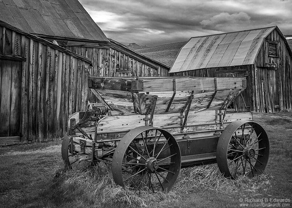 Bodie #11