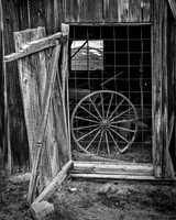 Bodie #12