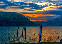 Cormorant and Hudson River at Peekskill Near Sunset
