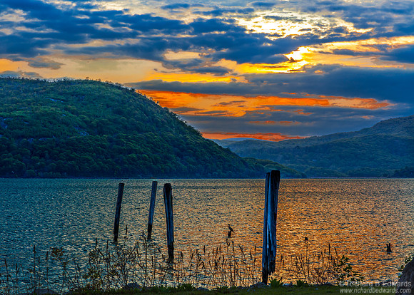 Cormorant and Hudson River at Peekskill Near Sunset