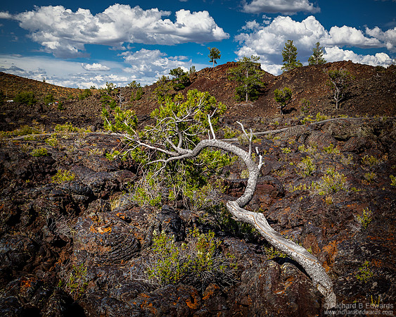 Craters of the Moon NM, Idaho