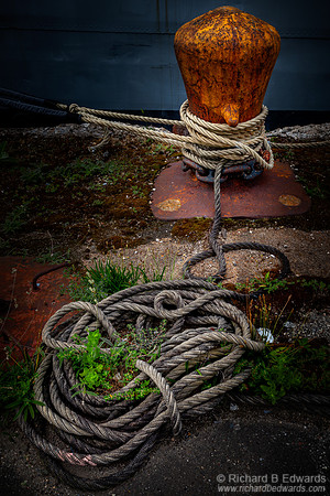 Philadelphia Navy Yard #1