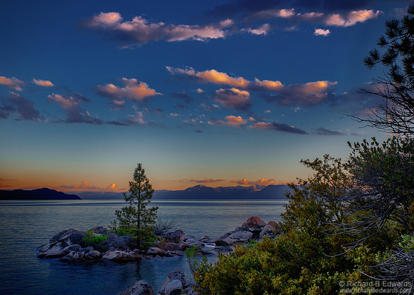Tahoe Pine Island #2