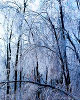 Ice Storm, Cold Spring, New York