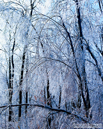 Ice Storm, Cold Spring, New York