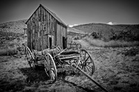 Bannack #5