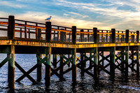 Gull on Pier, Setting Sun