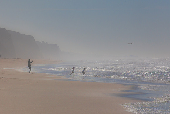 Misty Morning on the Beach