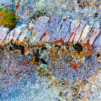 Boulder and Lichens, Alabama Hills