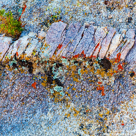 Boulder and Lichens, Alabama Hills