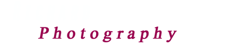 Richard B Edwards